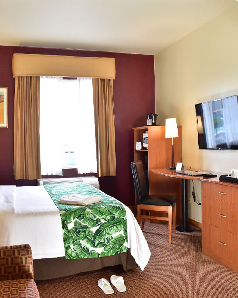 1-King-Bed,-1-Bedroom-Suite