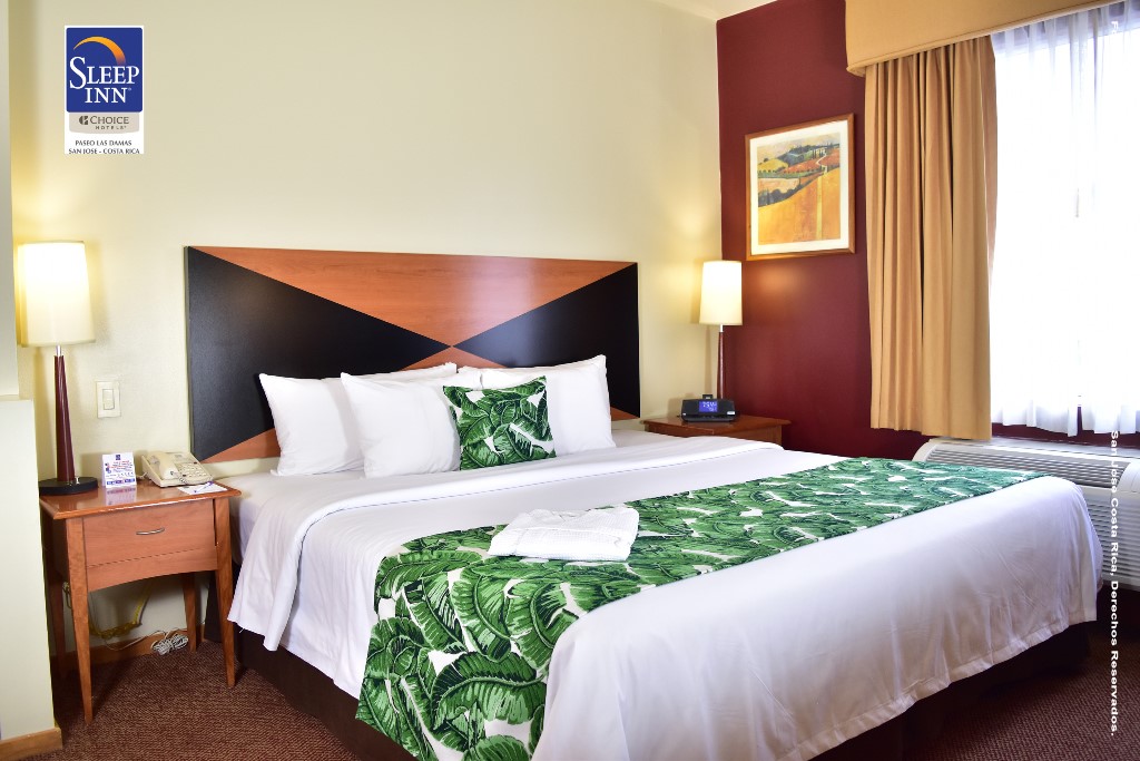 hotel-paseo-las-damas-hms2