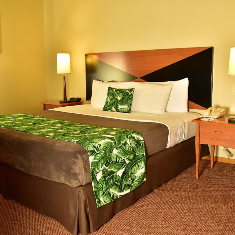 king-room